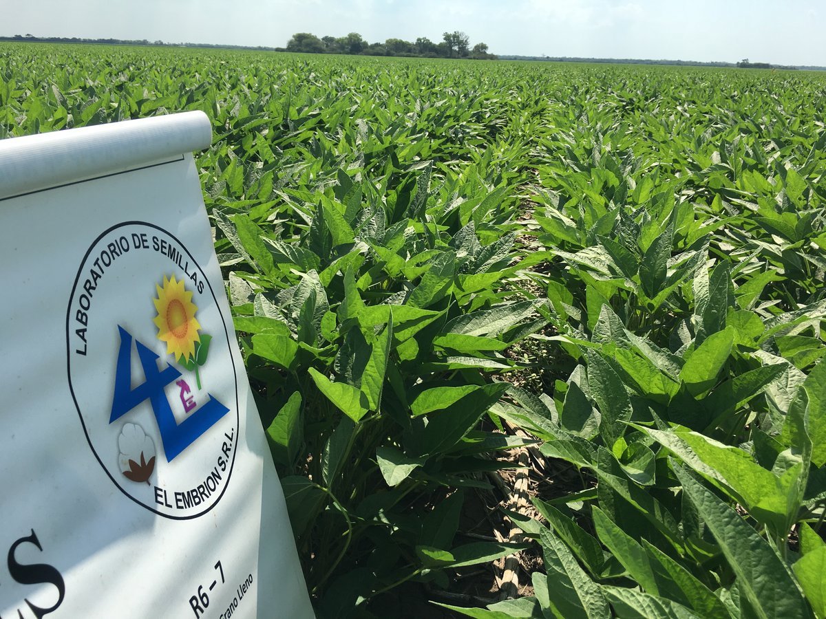 Calidad en análisis